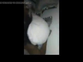 Un Marocain Baise ипа Africain Pute Casablanca