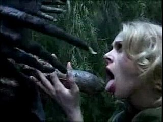 Acumulación de fantasía compilación