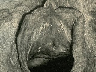 Malicious Lantern Divertissement menghadirkan 'closeup vintage' dari kehidupan rahasia saya, pengakuan erotis seorang pria Inggris Victoria