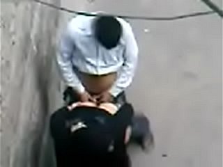Fast have a passion less pakistani tolerant