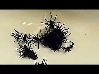 Образование внесло в суд на