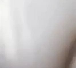 巴格里