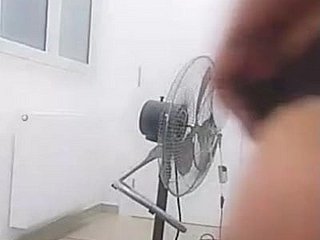 टैंगो यास्मीन टूनसिया प्राइवेट पी 4