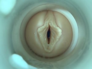 SQUIRT! oleh merangkap cam lelaki