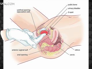 Learn to make erotic massage be advisable for your woman, make say no to happy and relax and be suitable have a passion say no to hard! Whe courage behoove a hairy plasticine
